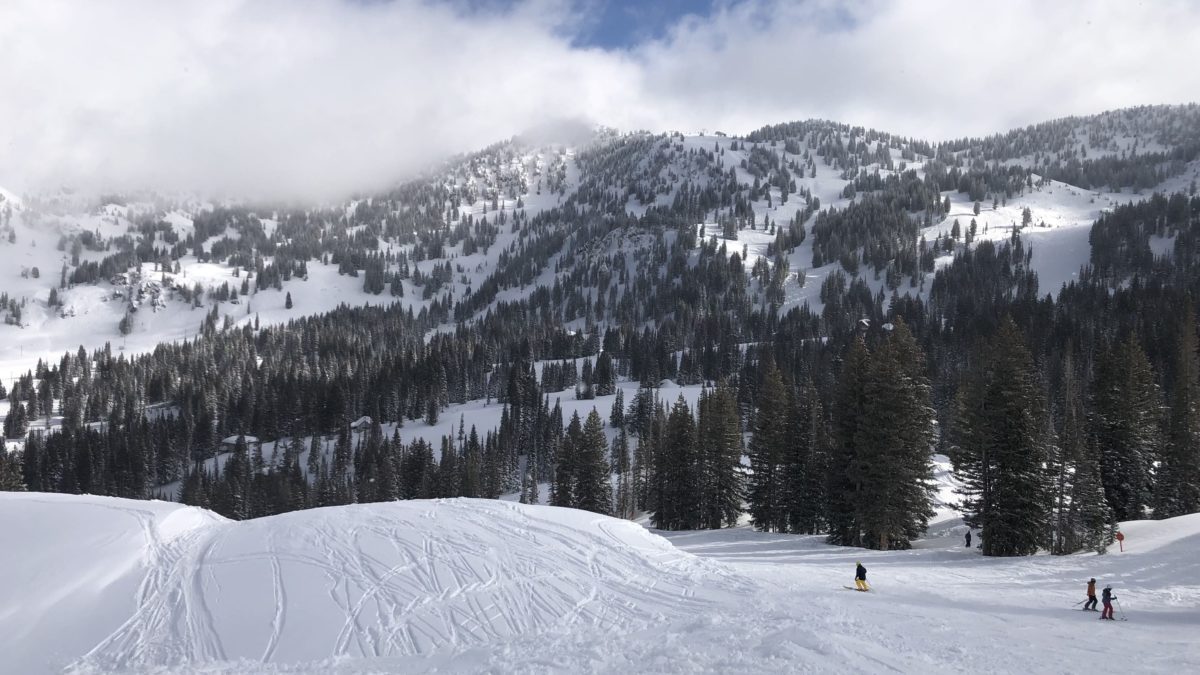 A snowy bluebird day at Alta Ski Area.