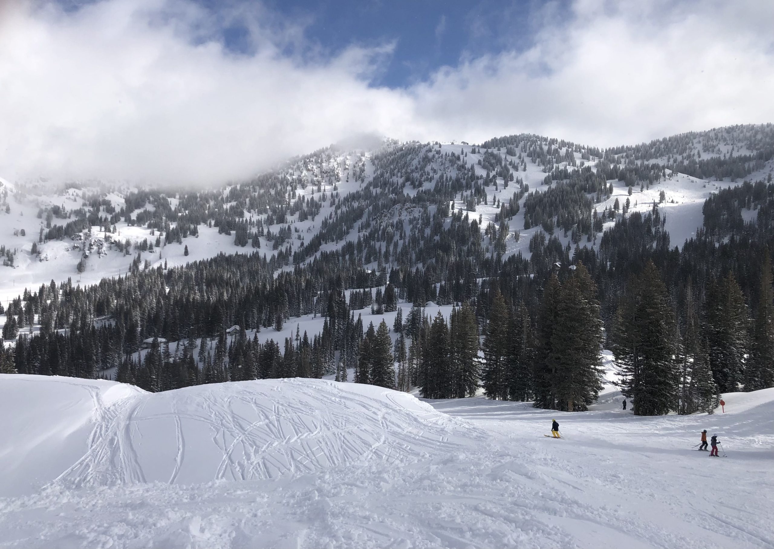 A snowy bluebird day at Alta Ski Area.