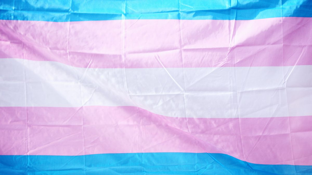 The transgender pride flag.