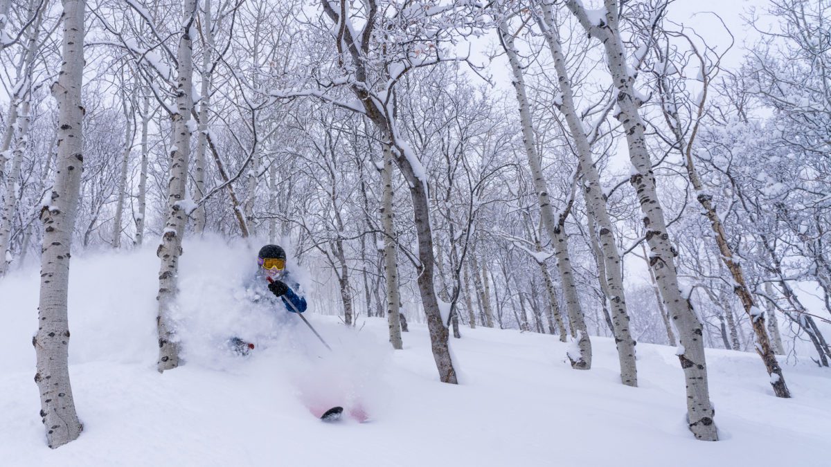 Pow day fun at Park City Mountain after receiving 23 inches of snow in 24 hours.