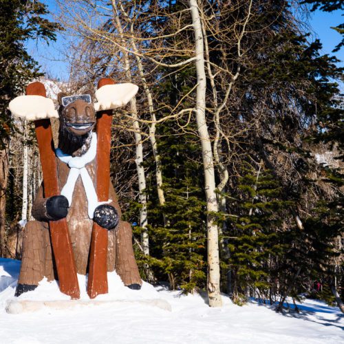 SNAPPED Park City Mountain 39 s High - 332197872 522667443270721 6726967583678612969 N 500x500 