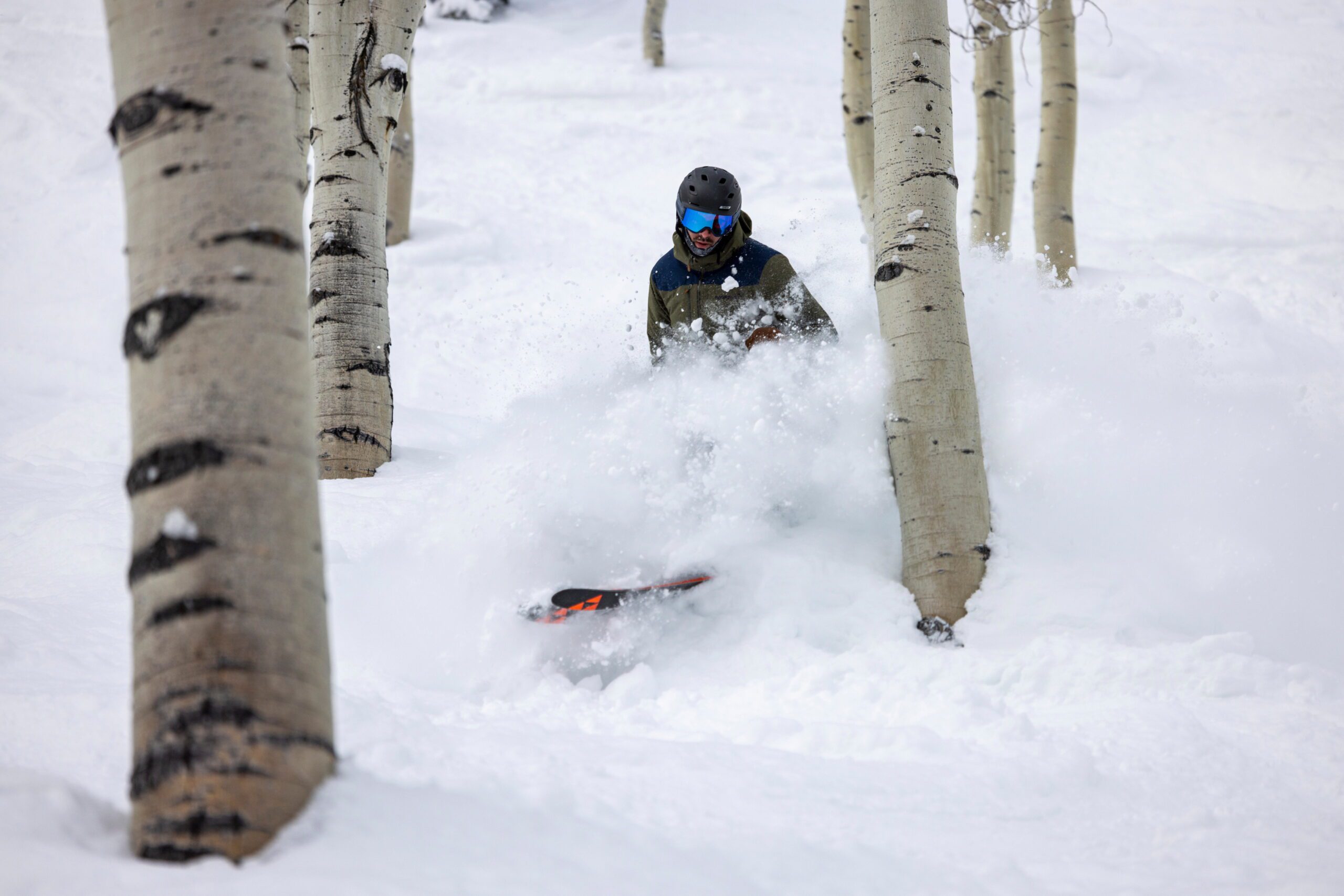 A powder day tree run at Deer Valley Resort.