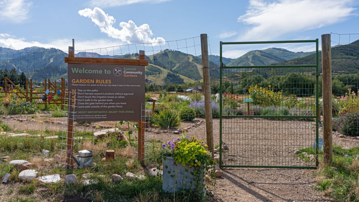 Summit Community Gardens.