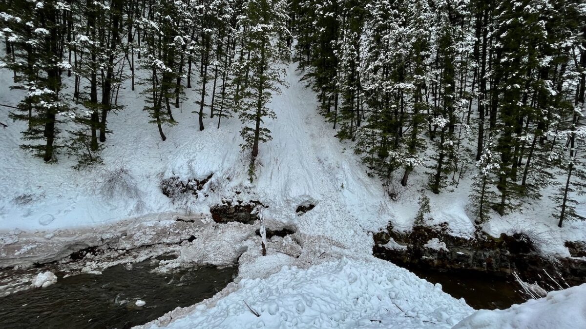 A natural avalanche that occurred in Logan Canyon.