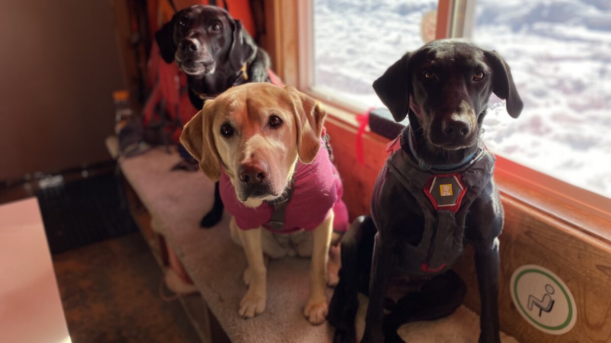 Park City Professional Ski Patrol Association Backcountry Bow Wow will be on March 29th at O’SHUCKS White House.