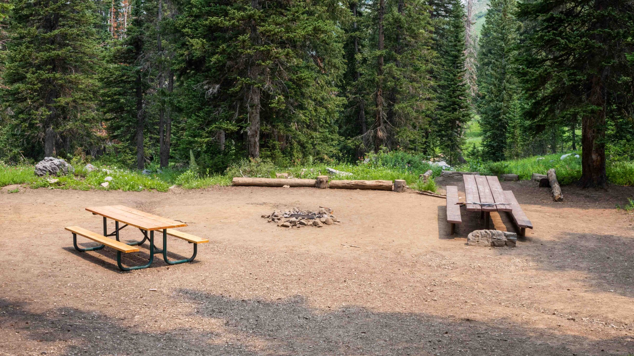 A campsite near Alta Ski Area in the Spring.