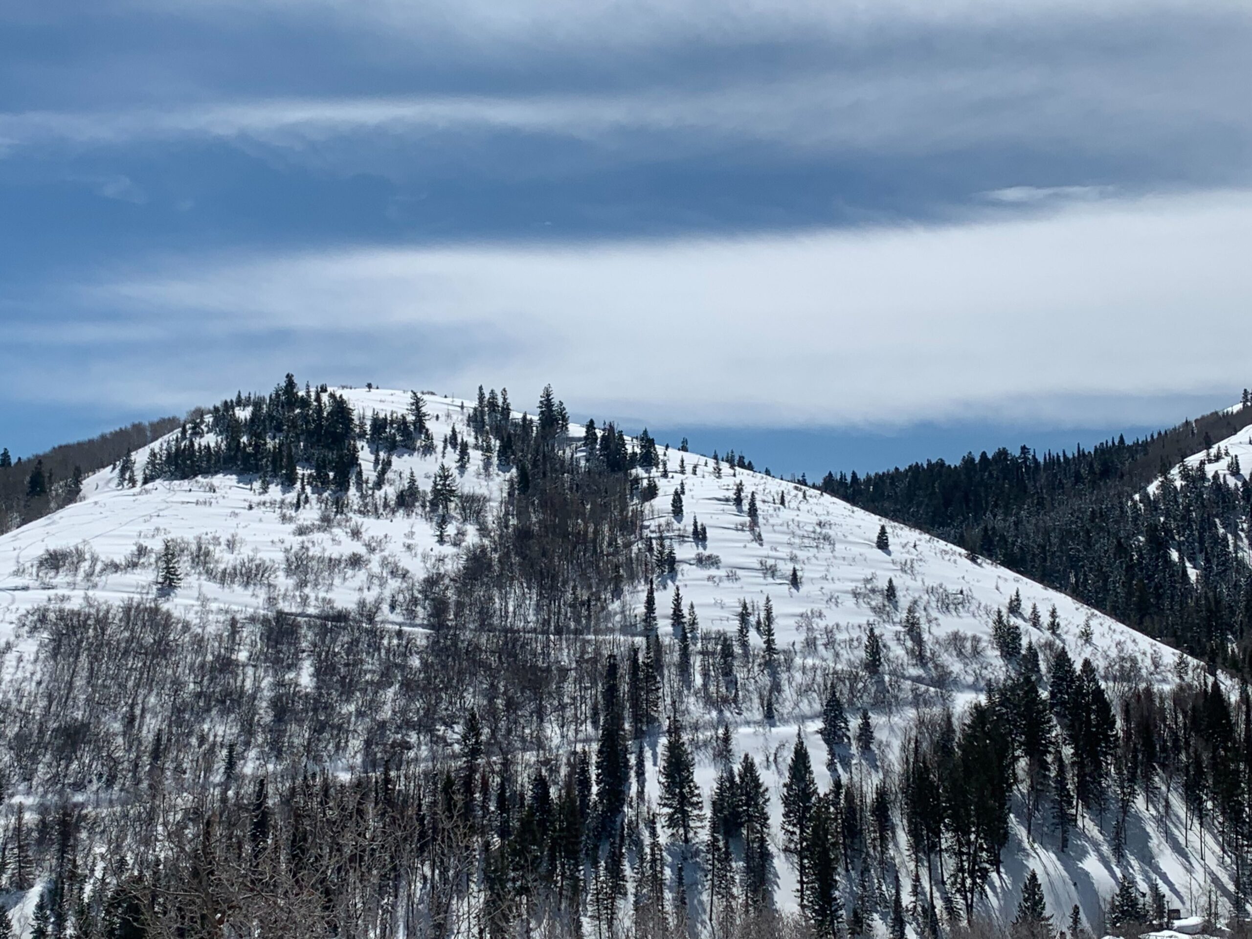 Pinebrook neighborhood hillside