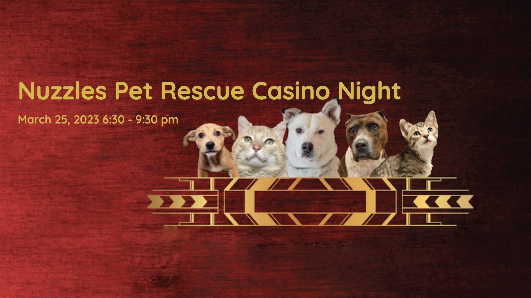 Pet Rescue Casino Night.