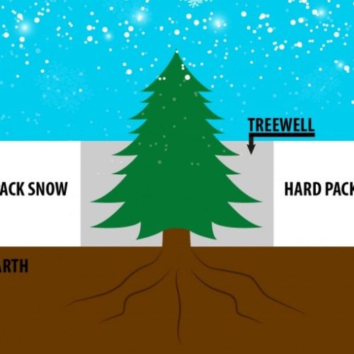 Powder days and tree wells; avoiding the risk TownLift, Park City News