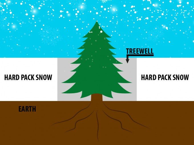 A diagram showing the components of a tree well featured in Mpora's Snowboarding Survival Guide.