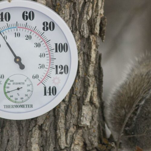 Utah slated for above average precipitation; below average temps this