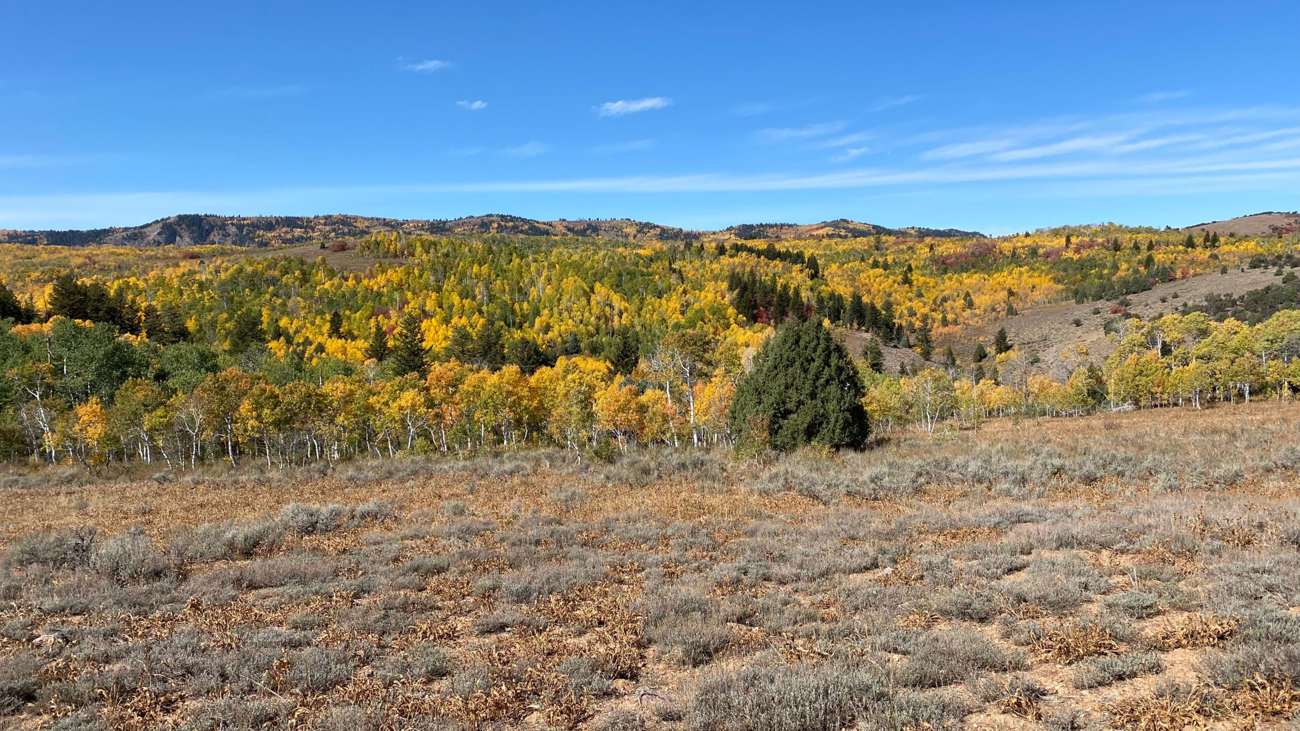 Cinnamon Creek Wildlife Management Area.