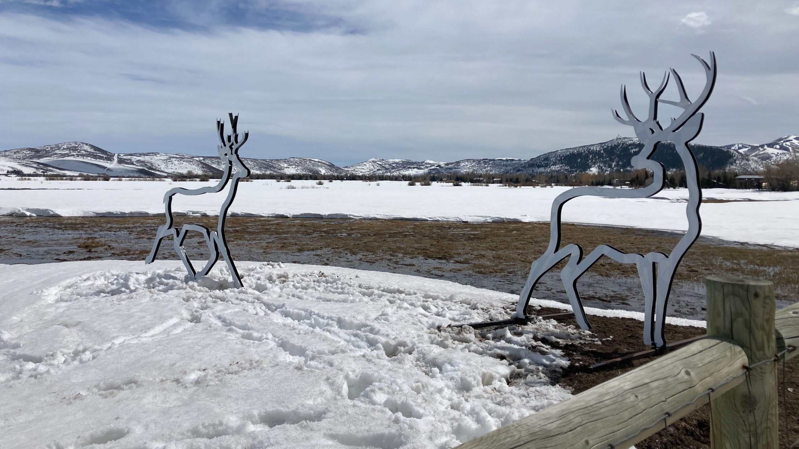 Two reflective wildlife silhouette sculptures were recently installed on the Swaner Preserve and were donated by Save People Save Wildlife.