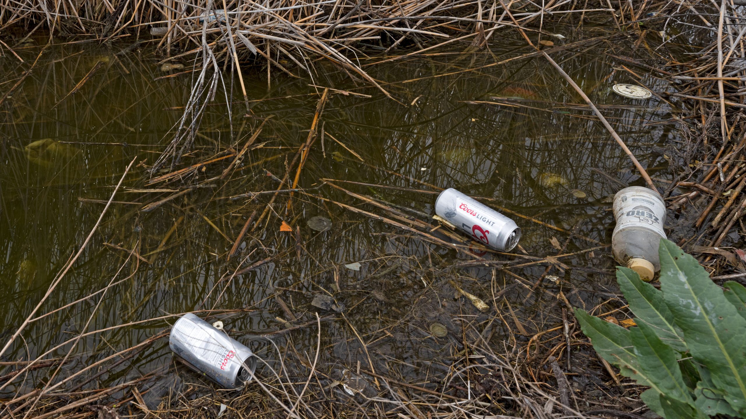 Litter at the entrance to Farmington Bay Trailhead.