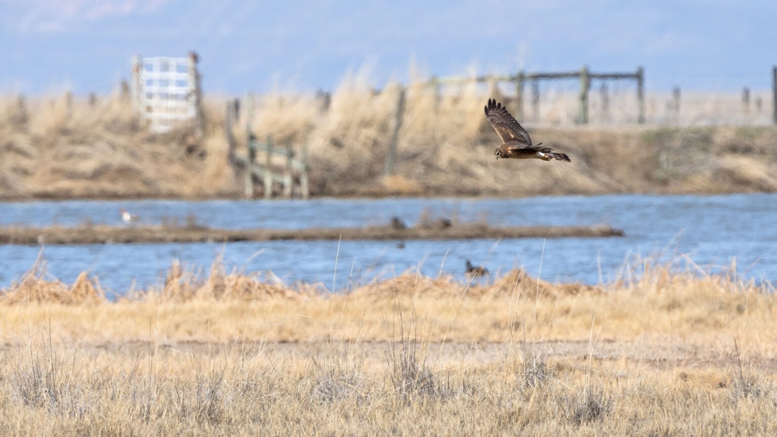 Explore Utah Farmington Bay Waterfowl Management Area TownLift, Park