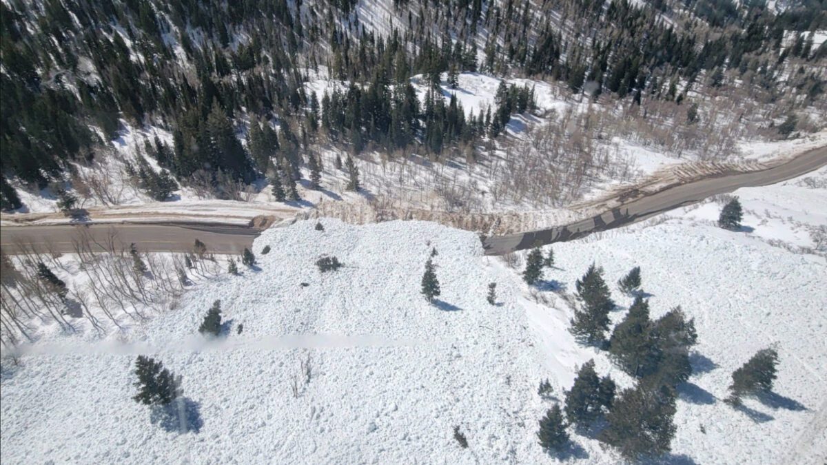 View from above of a natural wet avalanche at White Pine Chutes in Little Cottonwood Canyon last year.