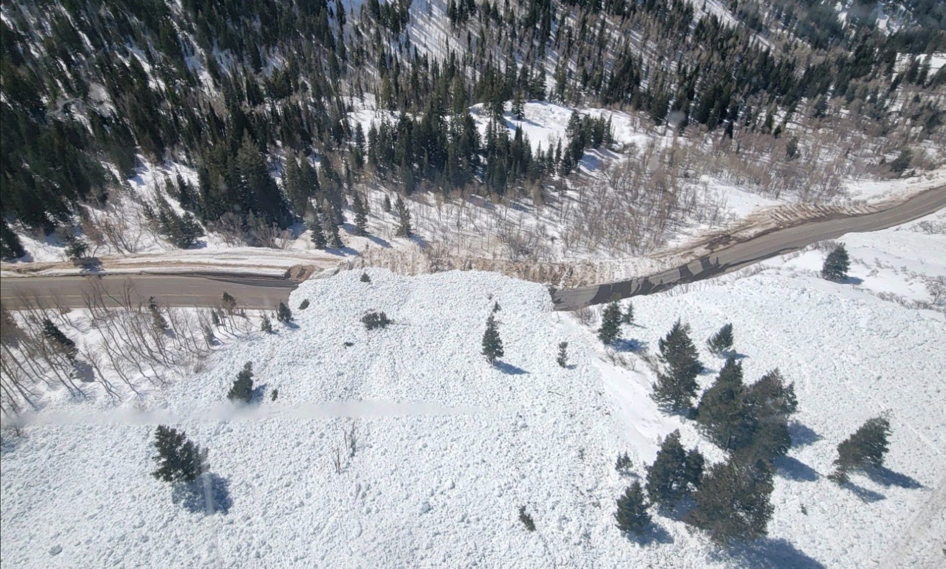 View from above of a natural wet avalanche at White Pine Chutes in Little Cottonwood Canyon last year.