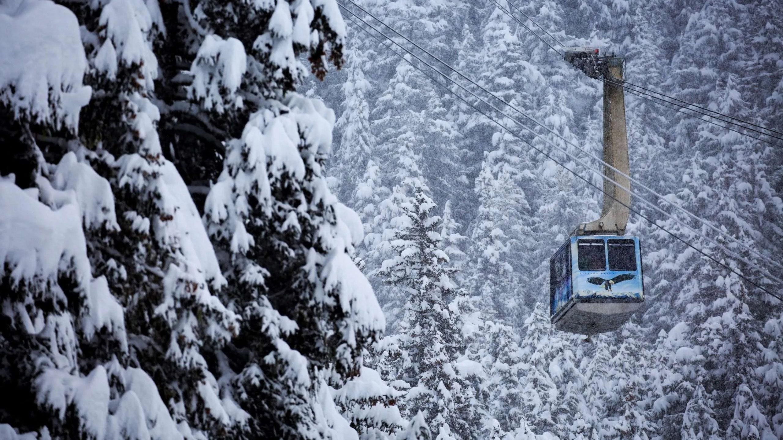 View of the tram at Alyeska Resort.