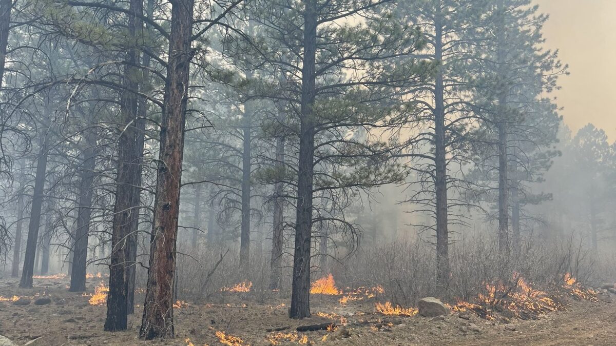 Image from prescribed burn at Park Ridge in the Dixie National Forest.