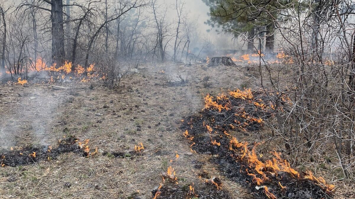 Smoke may be visible around Iron Mountain and Thaynes Canyon as Park City crews conduct seasonal pile burning to reduce wildfire fuels and improve forest health.