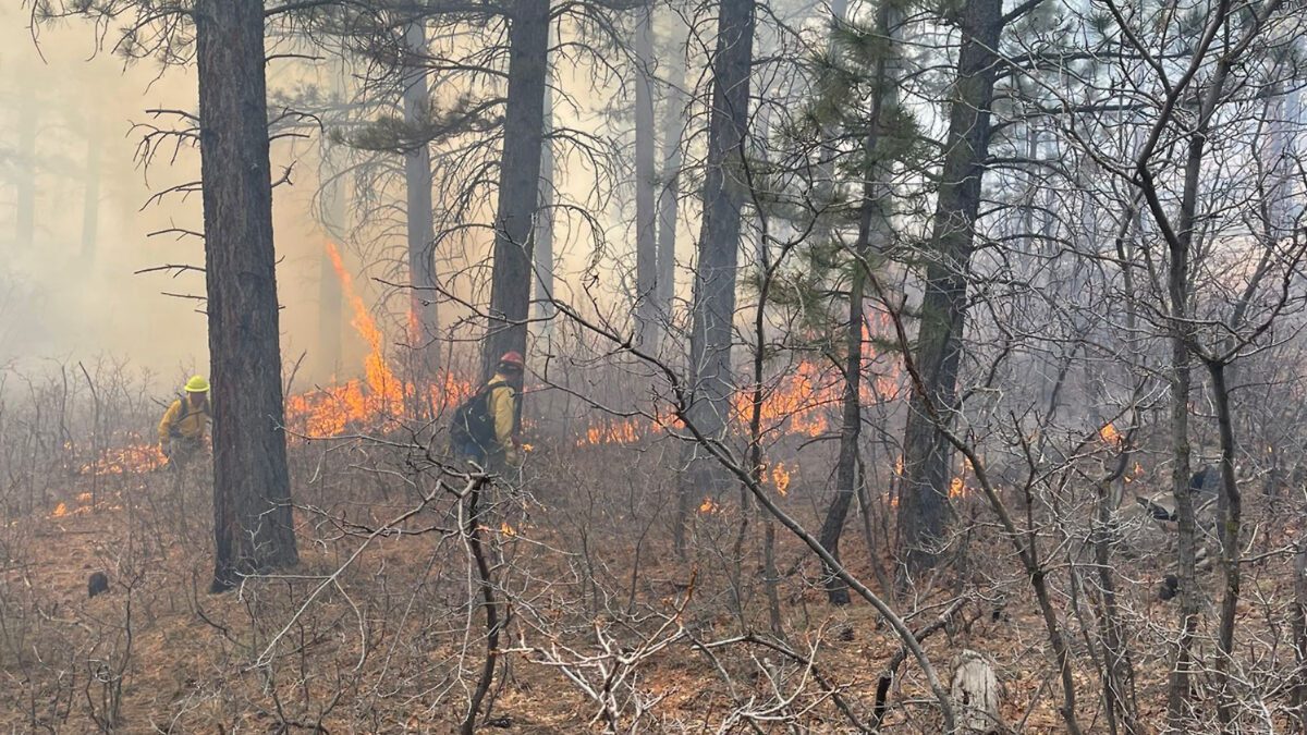 SNAPPED: Prescribed burn used to clear up 110 acres of Ponderosa Pine understory in Southern Utah.
