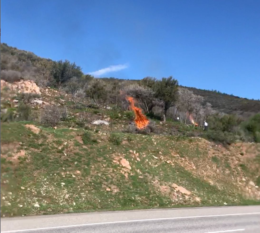 Controlled Burn on SR 224 in March, 2023.