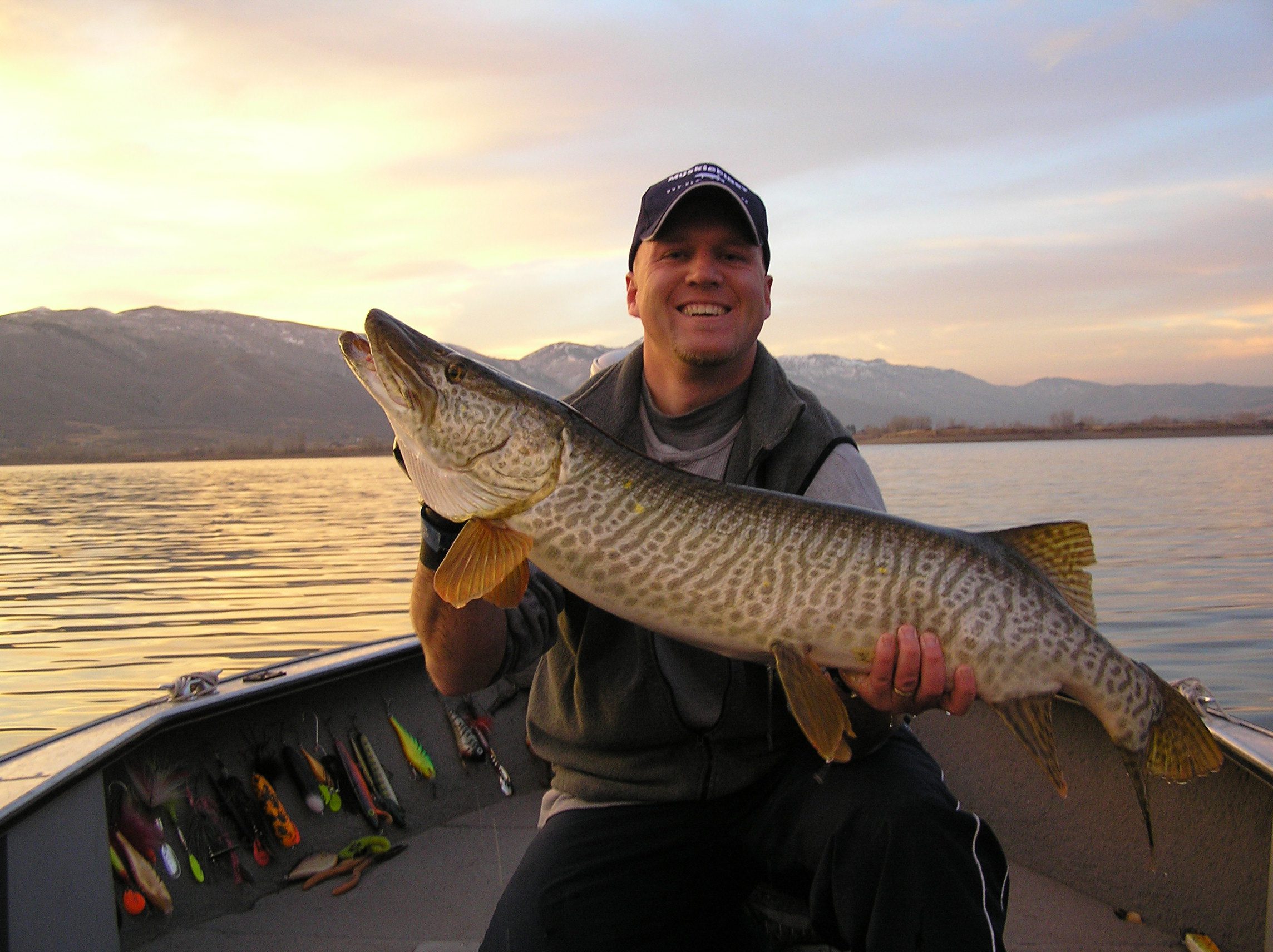 An angler holding up a tiger muskie at caught at Pineview Reservoir. Courtesy of the Utah Division of Wildlife Resources.