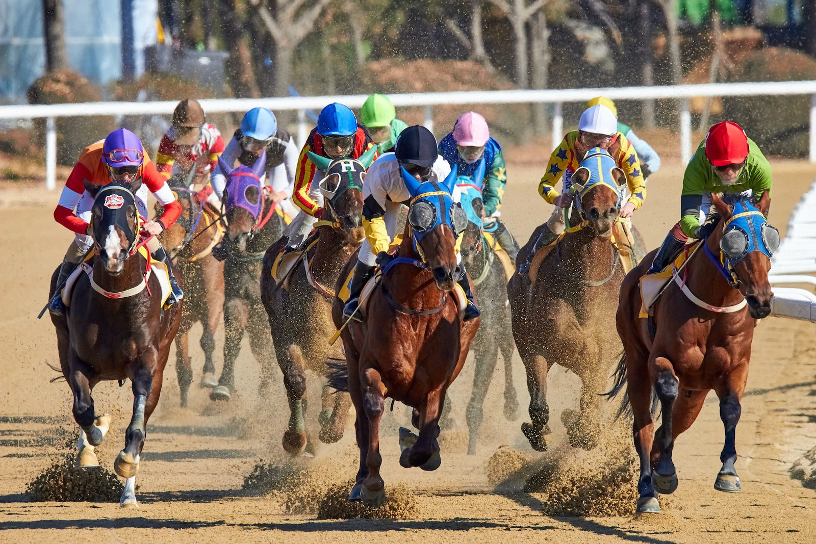 why-horse-jockeys-have-the-best-job-horses-horse-racing-racehorse