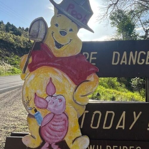 SNAPPED: Anonymous citizen replaces stolen Smokey Bear sign with Winnie ...