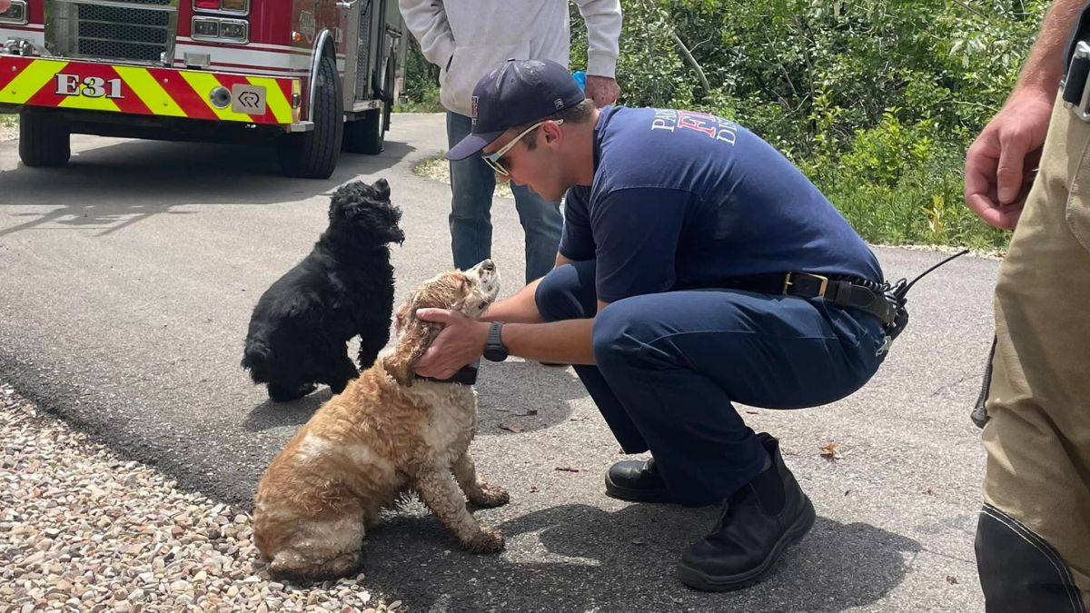 PCFD firefighters rescued a dog stuck in a culvert in the Morning Star Court area on June 11, 2023.