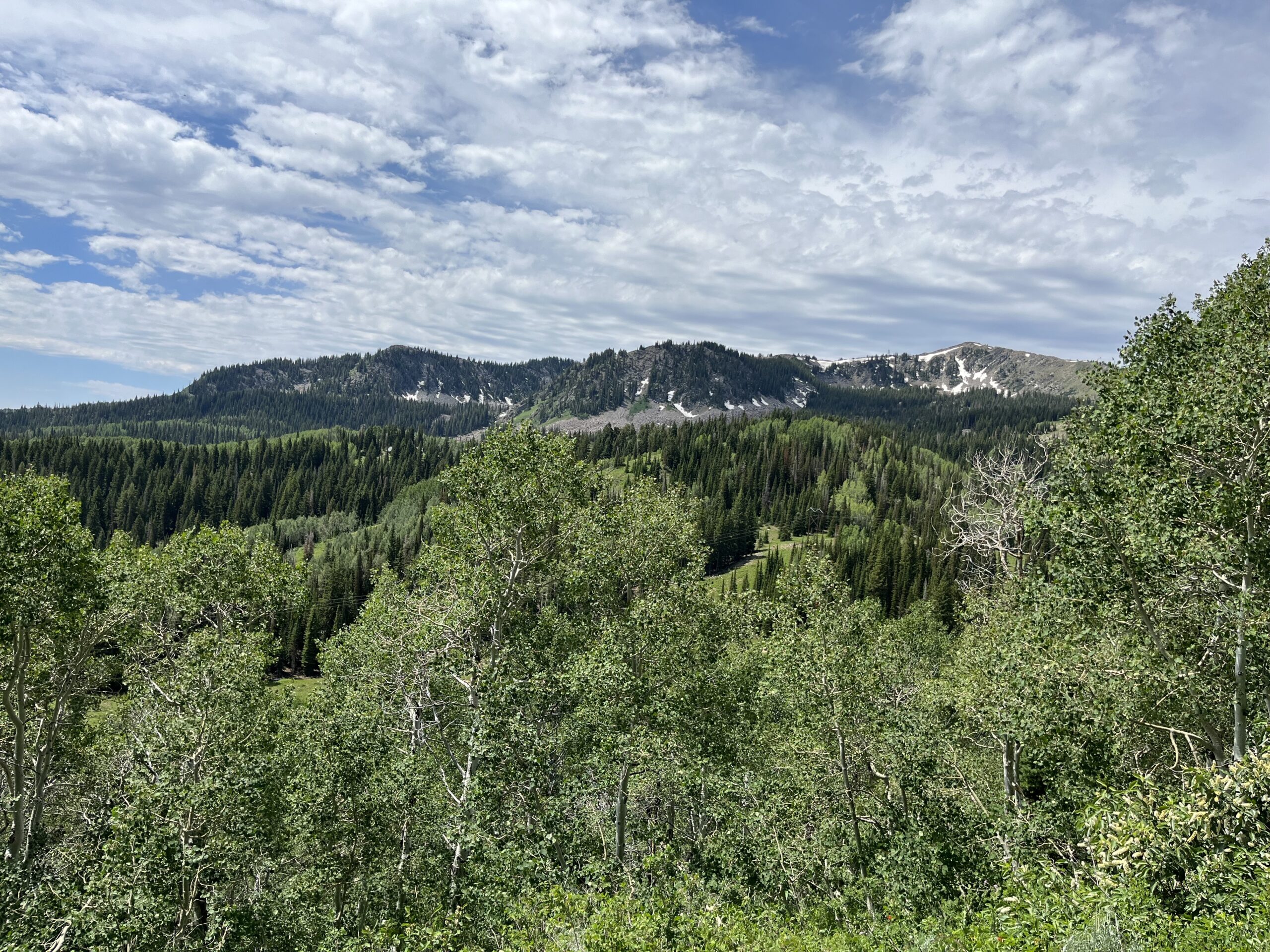 The trailhead at Bloods Lake, July 17, 2023.