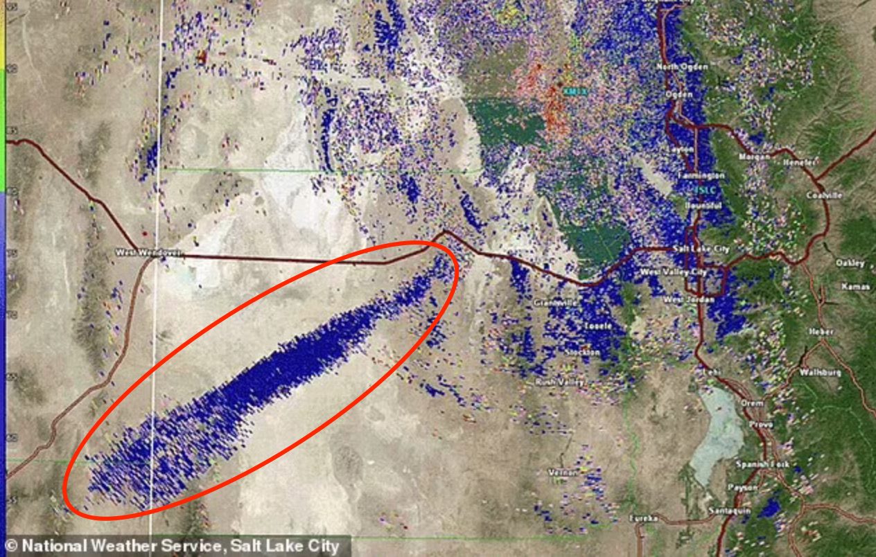 Radar from the National Weather Service at around 6 p.m. on June 21 initially thought to be a giant swarm of grasshoppers.