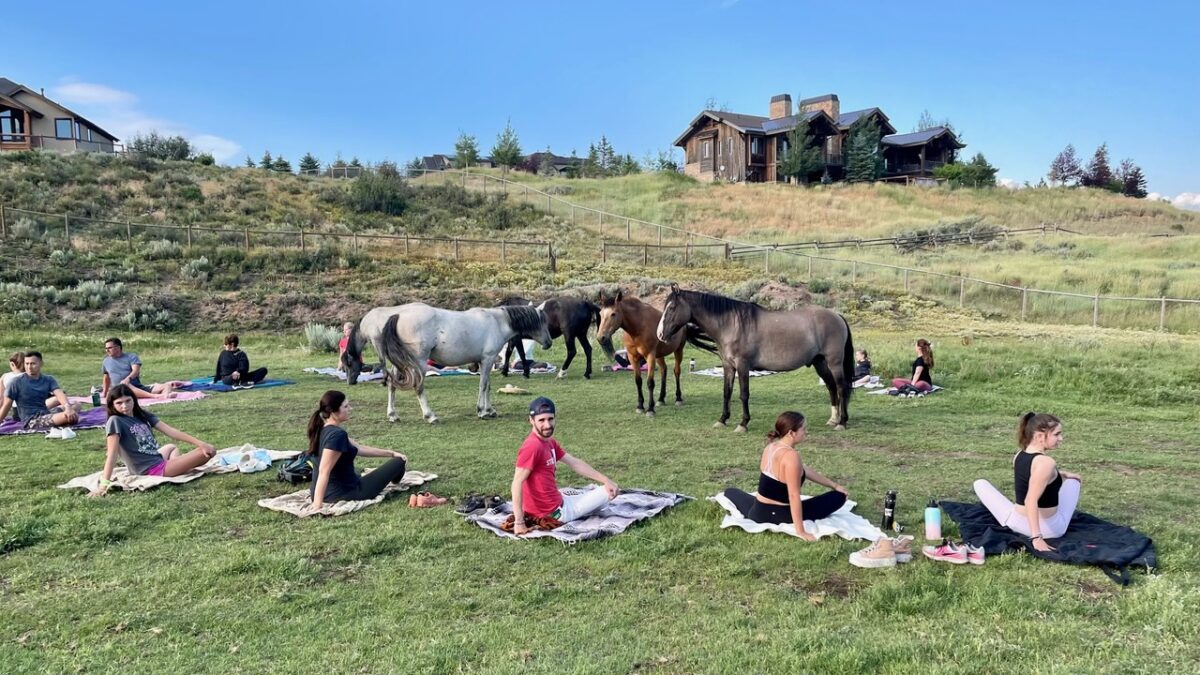 Spots are open in yoga with horses classes at the Wild Heart Sanctuary for rescued horses in Park City.