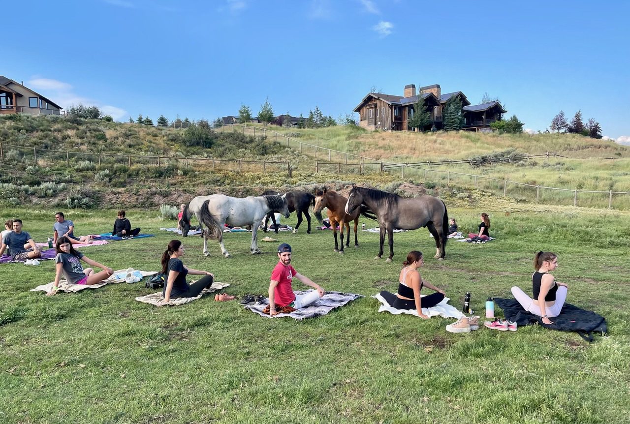 Spots are open in yoga with horses classes at the Wild Heart Sanctuary for rescued horses in Park City.