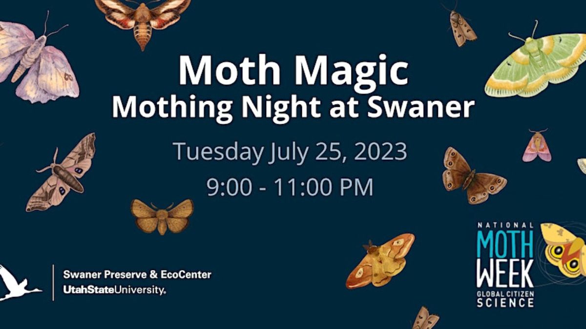 Mothing Night at Swaner will take place on July 25, 2023.