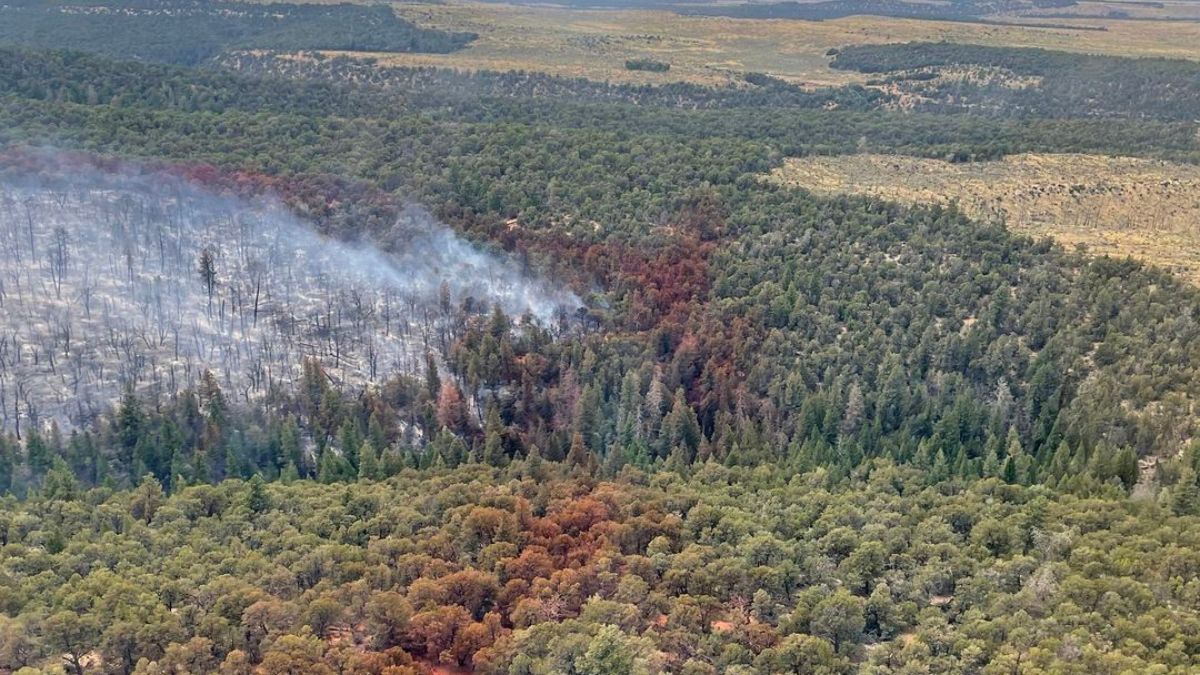 A stripe of red fire retardant is pictured along the perimeter of the Monument Fire on July 23, 2023.