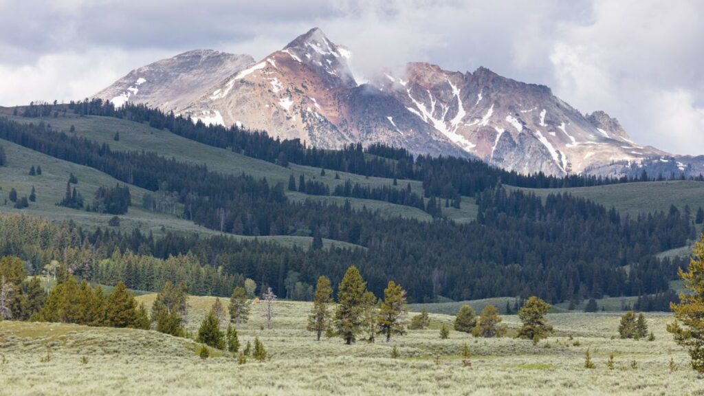 Eagle Peak in Yellowstone National Park.