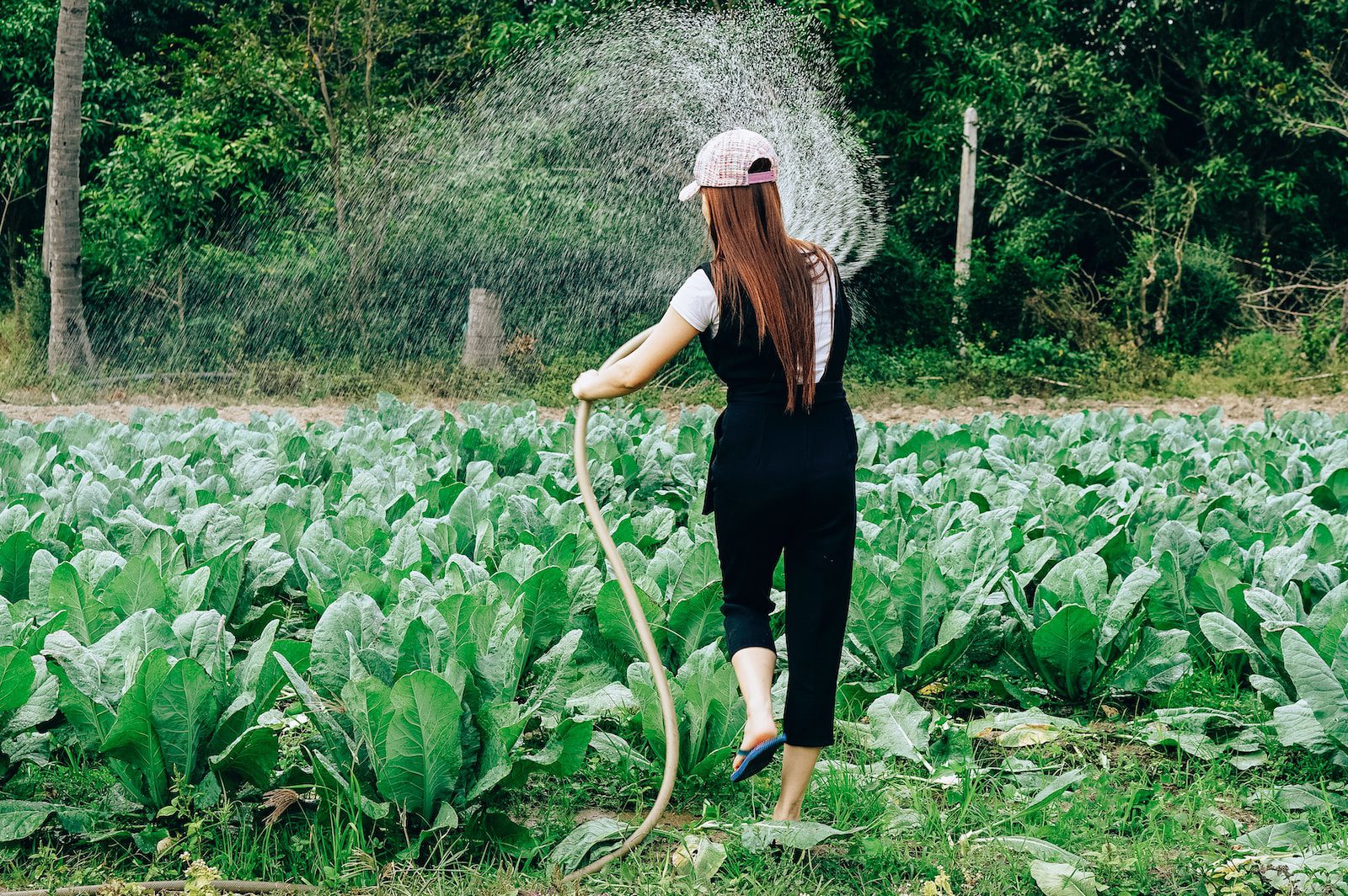 The Lodge at Blue Sky and Gracies Farm are celebrating women in the food and farming industry July 25-28.