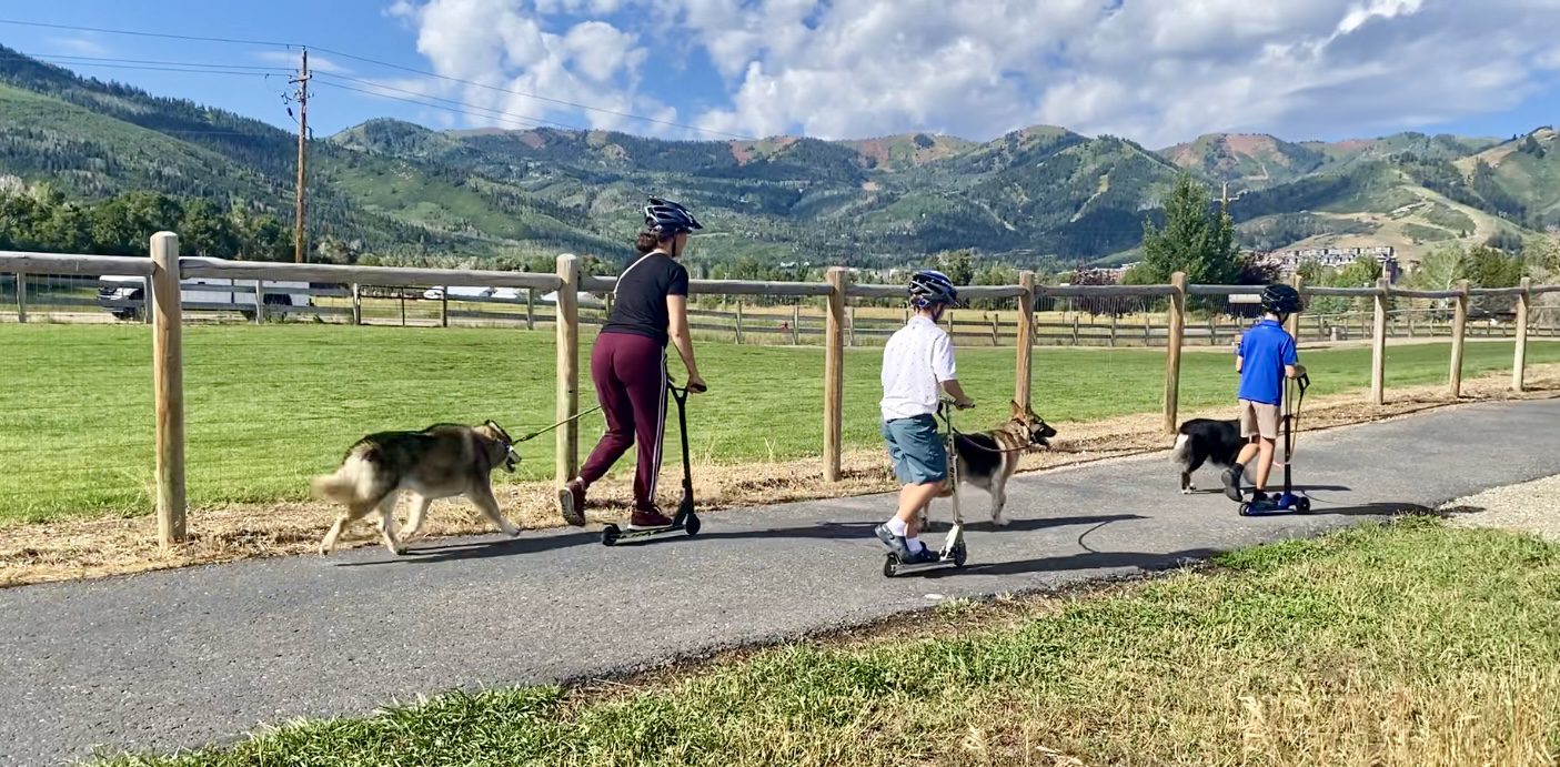 Three dogs, three dog owners, three scooters and three days until school starts.