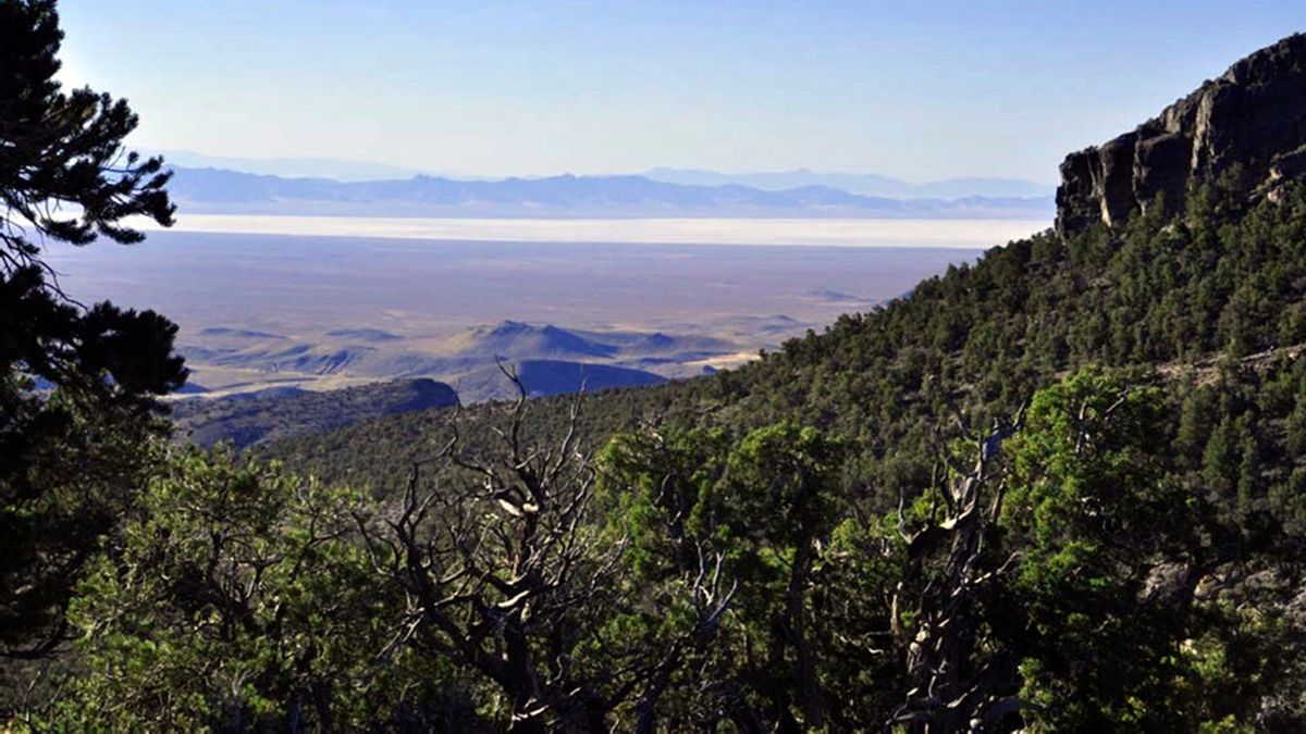 This undated image provided by the Southern Utah Wilderness Alliance, pinyon pine and juniper trees grow on a mountain range north of Sevier Lake in Millard County, Utah. Environmentalists filed a lawsuit on Monday, July 31, 2023, to prevent the construction of a new potash mine that they say would devastate a lake ecosystem in the drought-stricken western Utah desert.