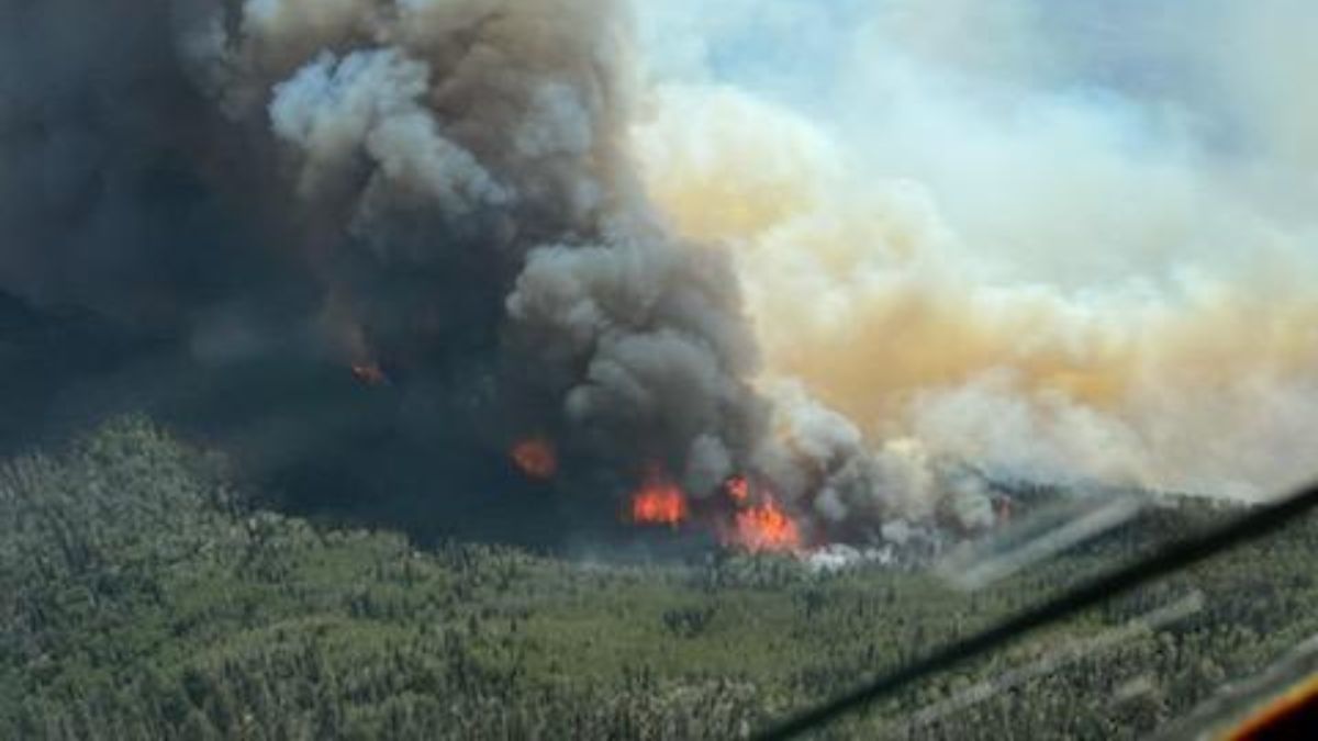 an aerial view of the Thompson Ridge Fire, August 10, 2023.