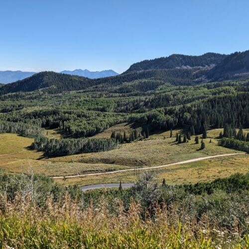 View of Bonanza Flats Conservation Area 