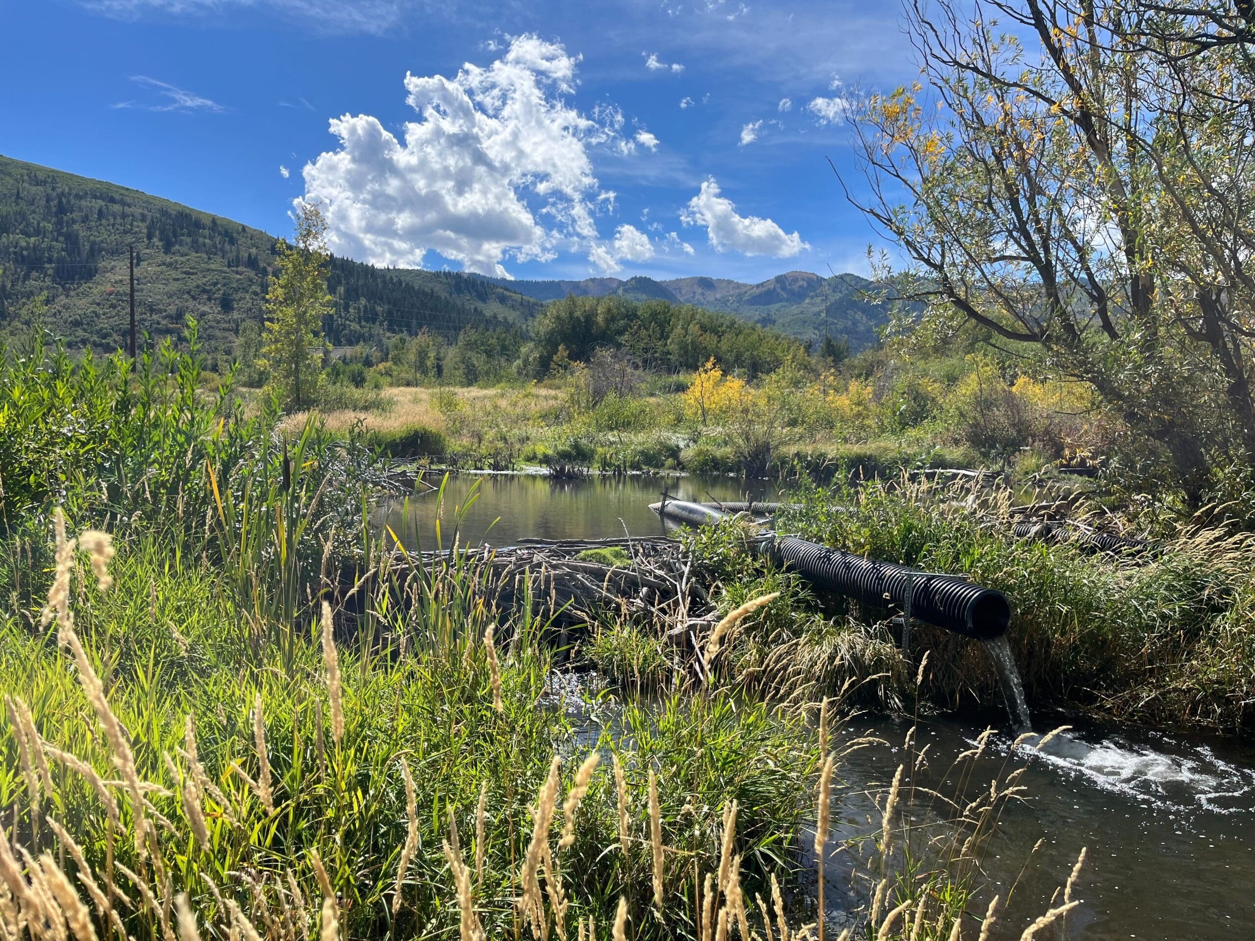 The remnants of a destroyed beaver dam on McLeod Creek, Sept. 20, 2023.