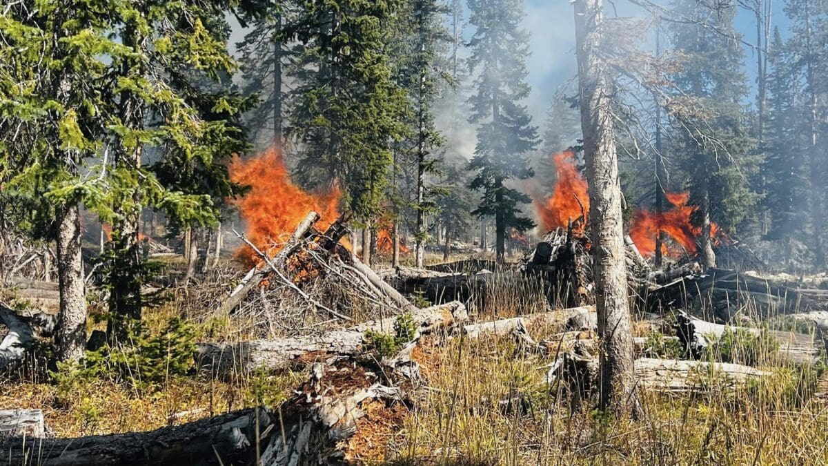 Heber-Kamas Ranger District worked hard completing Alexander Lake (77 acres), and Lambert Meadows (51 acres) off of the Spring Canyon Road (Forest Service Road #041) controlled burns.