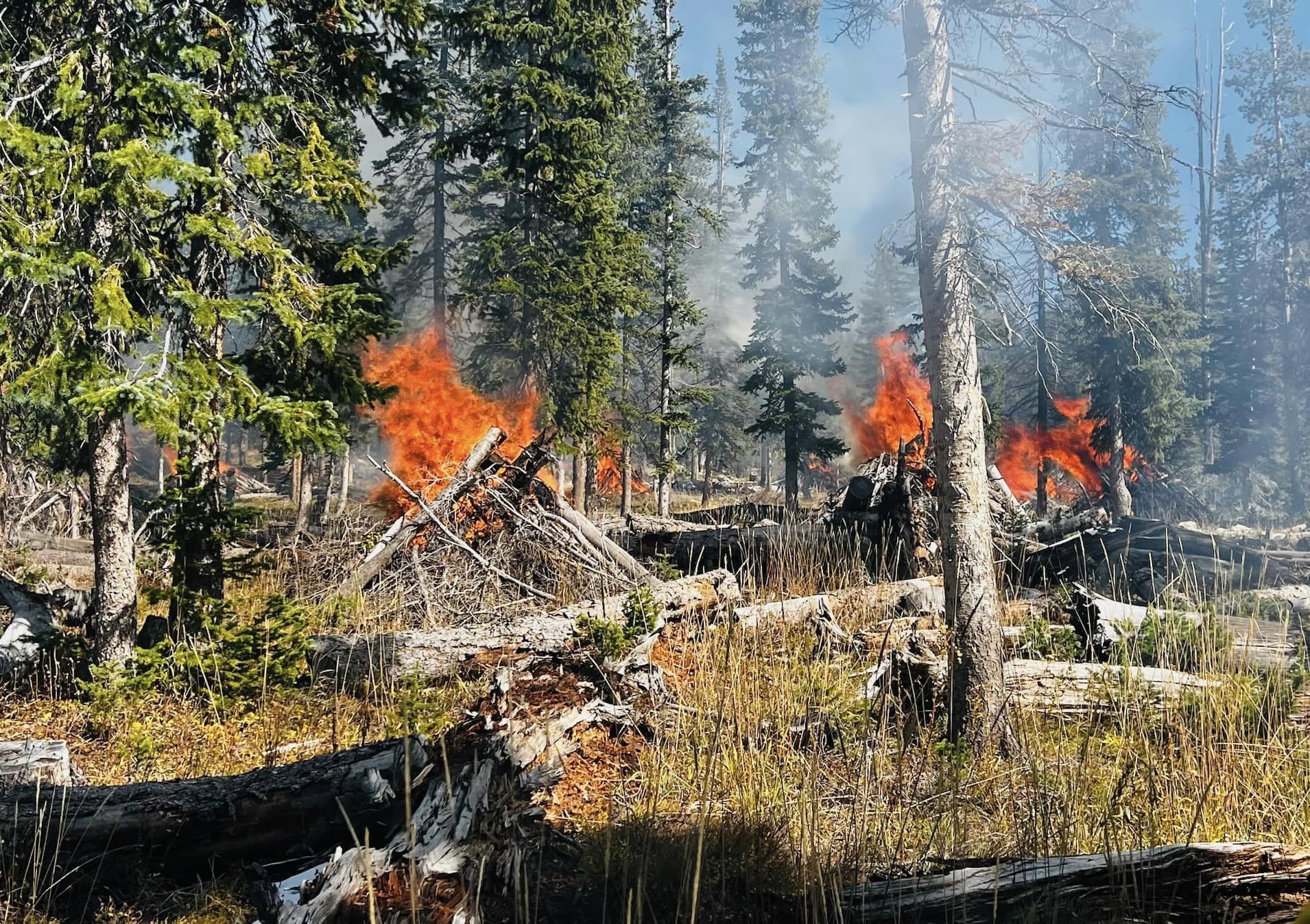 A controlled fire burns in the Uintas in October, 2023. The National Weather service has issued a red flag warning in the Wasatch Mountains through September 3.