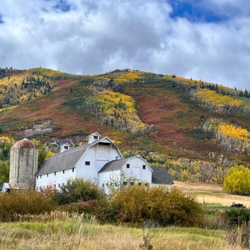 Fall foliage highlighting McPolin Barn.