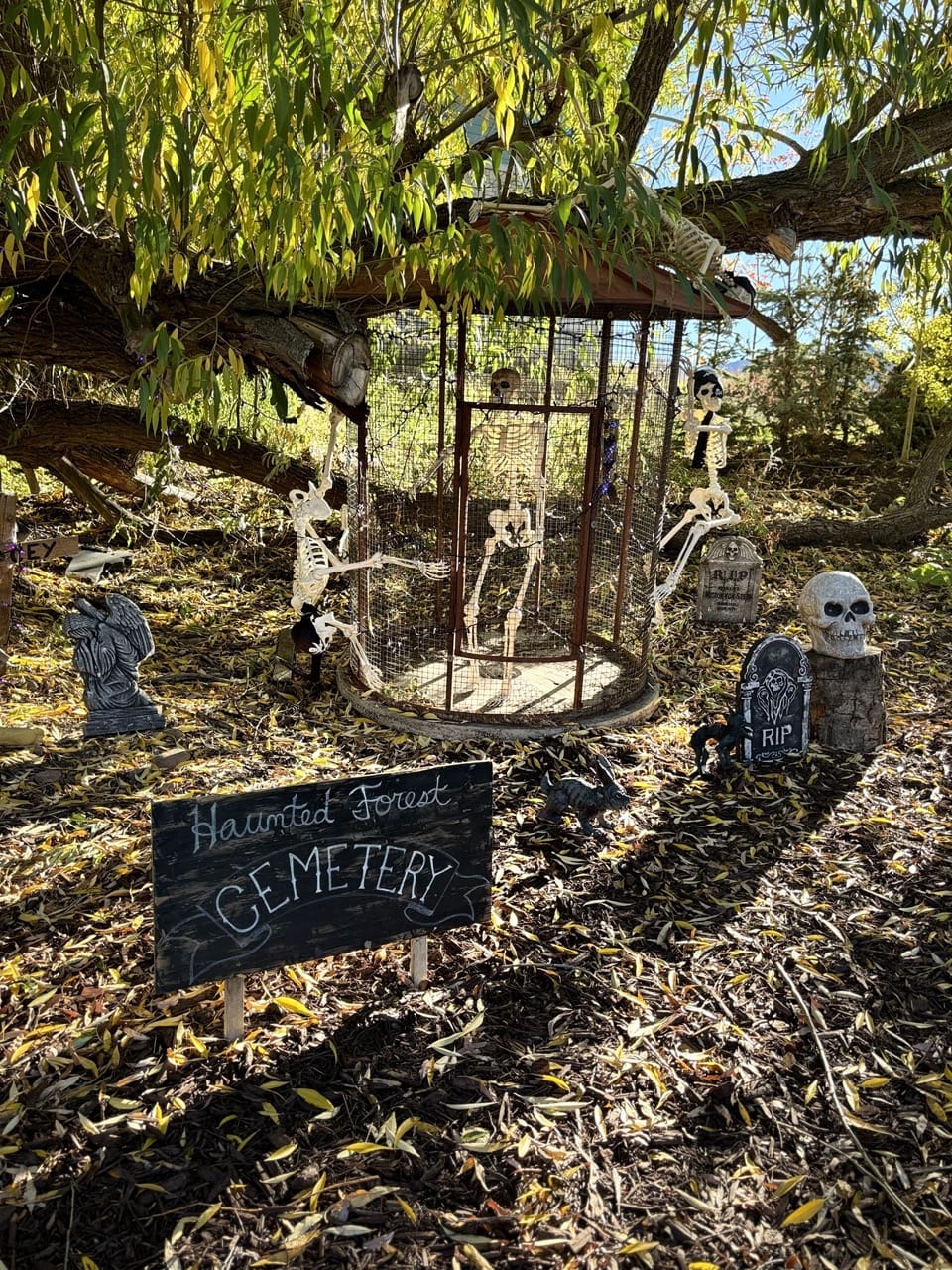 Park City Gardens Haunted Forest