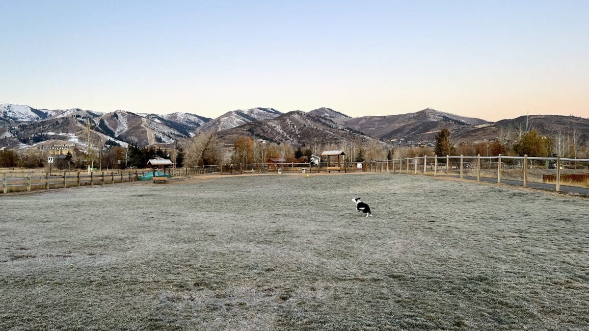 Sunrise at Willow Creek Dog Park, Oct. 30, 2023, 7:45 a.m., 10 degrees