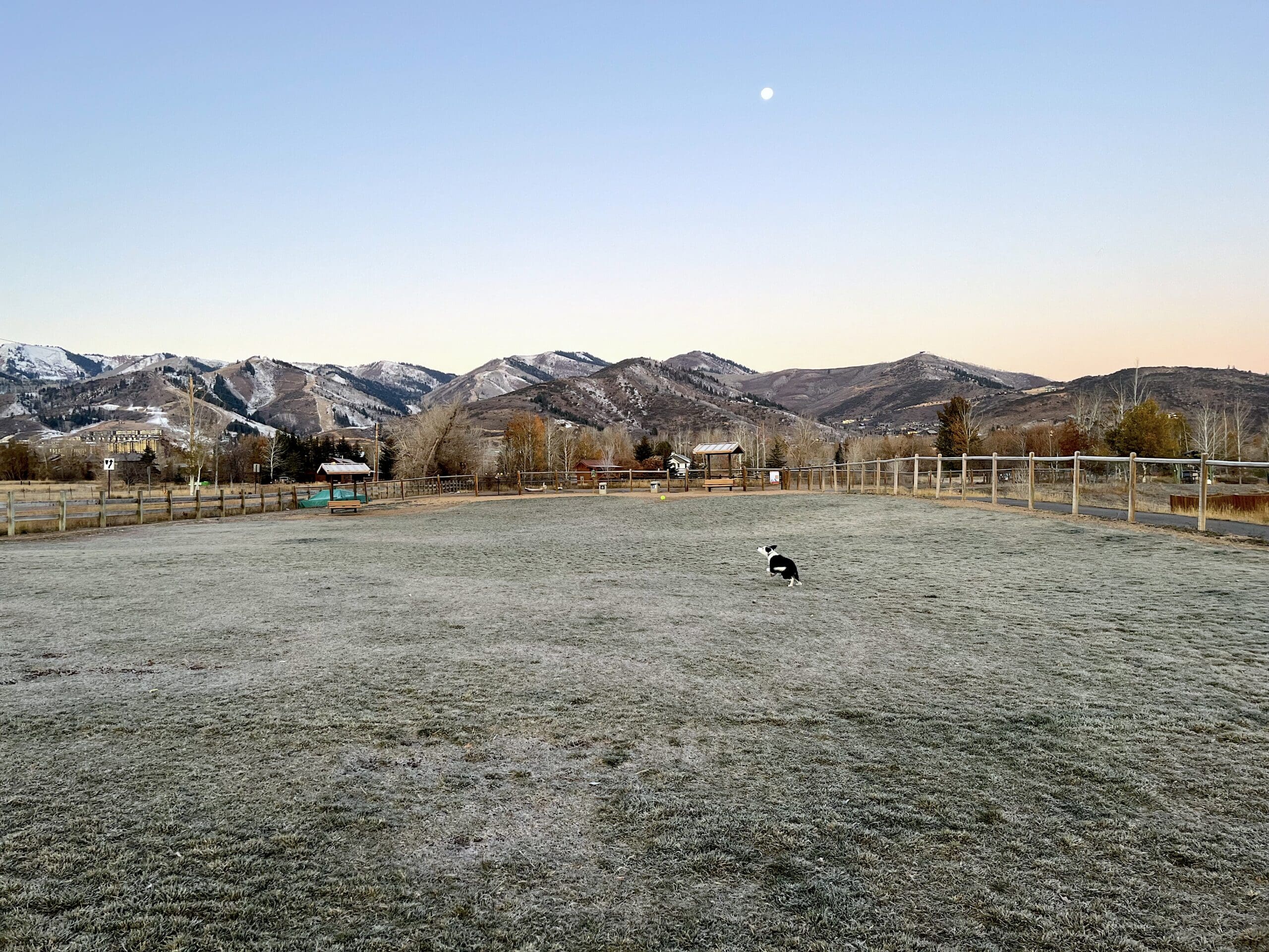 Sunrise at Willow Creek Dog Park, Oct. 30, 2023, 7:45 a.m., 10 degrees