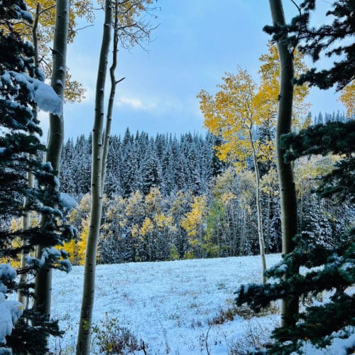 October snow at Deer Valley. Photo: BEC Nic